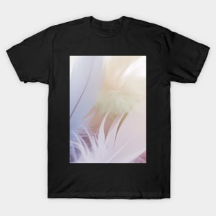 Pastel Feathers T-Shirt